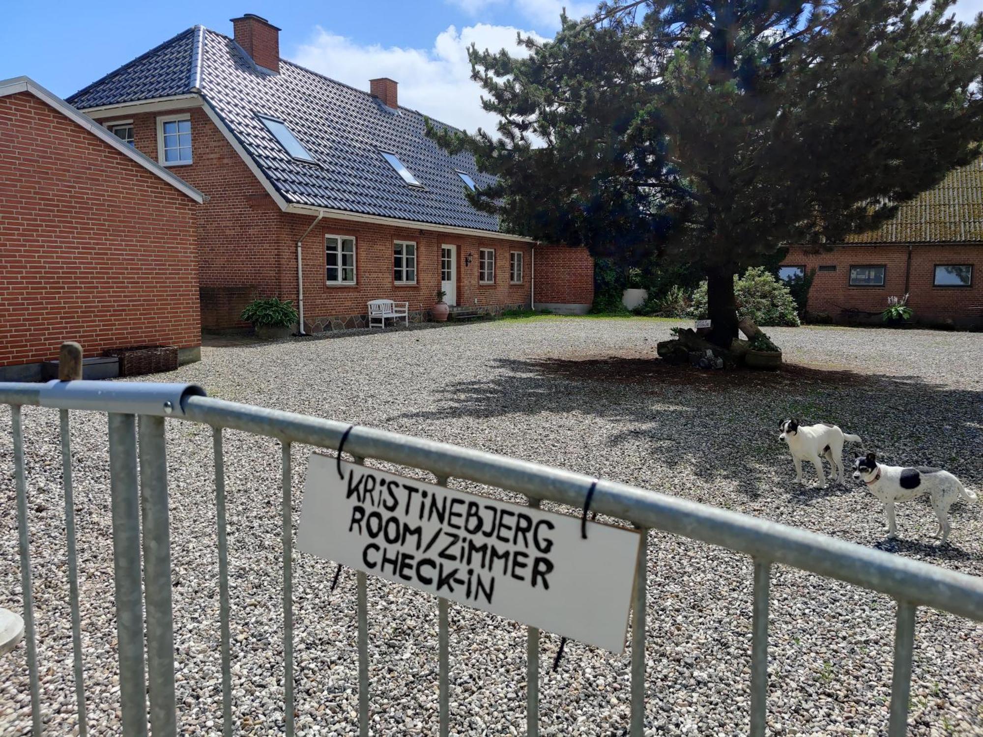 Apartmán Kristinebjerg Jelling Exteriér fotografie